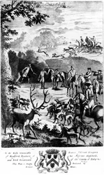Le cerf à l